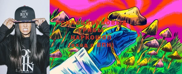 прущие крисы Армянск