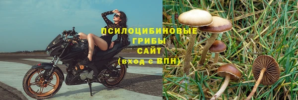 экстази Арсеньев