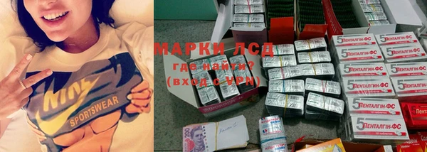 экстази Арсеньев